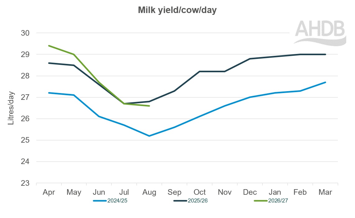 A line graph up to August 2026 for Kingshay Milk yield per cow graph last 3 years.